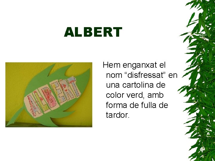 ALBERT Hem enganxat el nom “disfressat” en una cartolina de color verd, amb forma