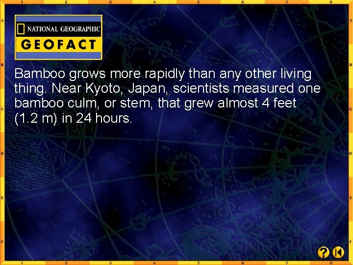 Bamboo grows more rapidly than any other living thing. Near Kyoto, Japan, scientists measured