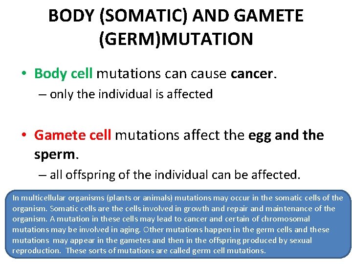 BODY (SOMATIC) AND GAMETE (GERM)MUTATION • Body cell mutations can cause cancer. – only