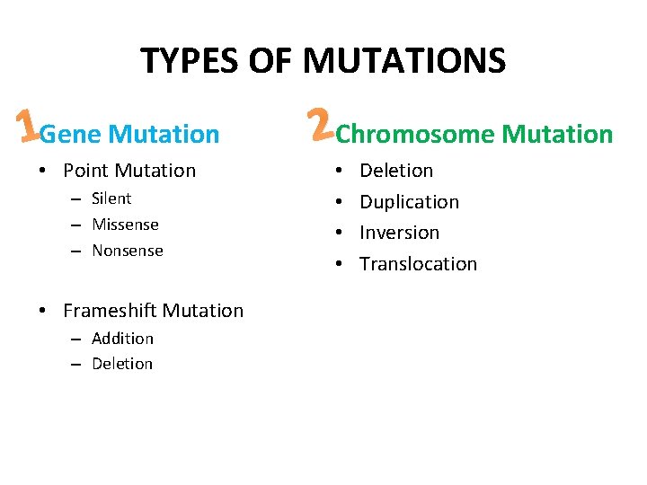 TYPES OF MUTATIONS 1 Gene Mutation • Point Mutation – Silent – Missense –