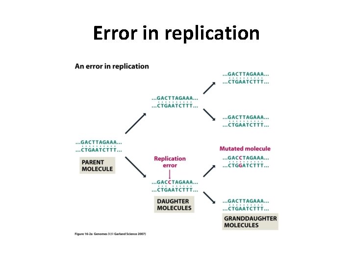 Error in replication 