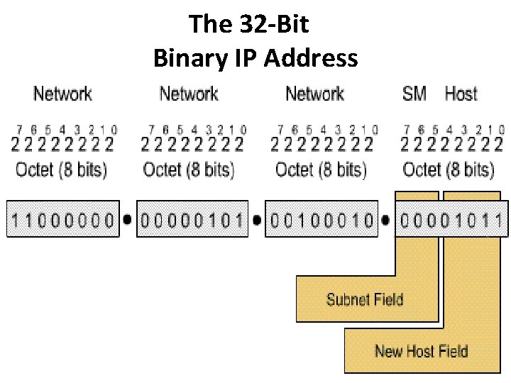 The 32 -Bit Binary IP Address 3 