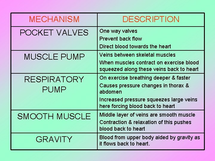 MECHANISM POCKET VALVES DESCRIPTION One way valves Prevent back flow Direct blood towards the