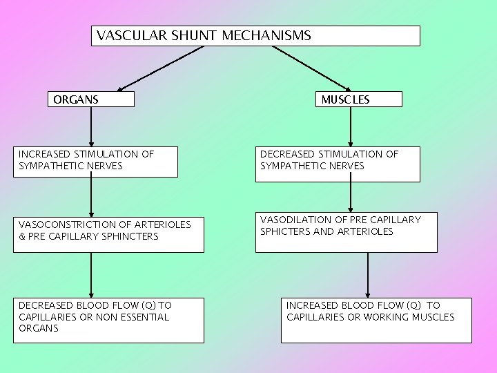 VASCULAR SHUNT MECHANISMS ORGANS INCREASED STIMULATION OF SYMPATHETIC NERVES VASOCONSTRICTION OF ARTERIOLES & PRE