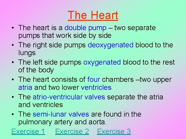 The Heart • The heart is a double pump – two separate pumps that