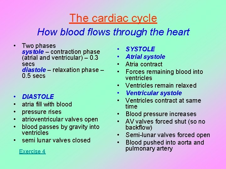 The cardiac cycle How blood flows through the heart • Two phases systole –