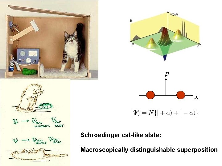 p x Schroedinger cat-like state: Macroscopically distinguishable superposition 