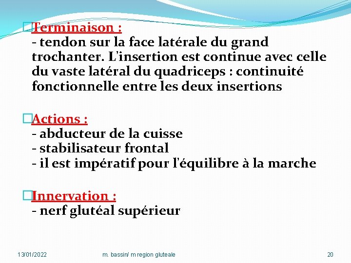 �Terminaison : - tendon sur la face latérale du grand trochanter. L'insertion est continue