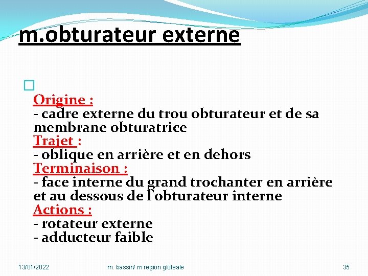 m. obturateur externe � Origine : - cadre externe du trou obturateur et de