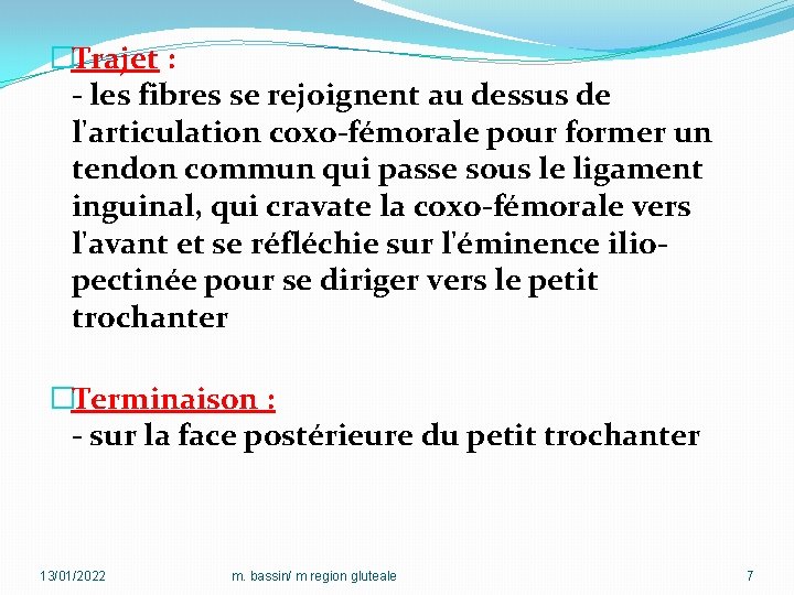 �Trajet : - les fibres se rejoignent au dessus de l'articulation coxo-fémorale pour former