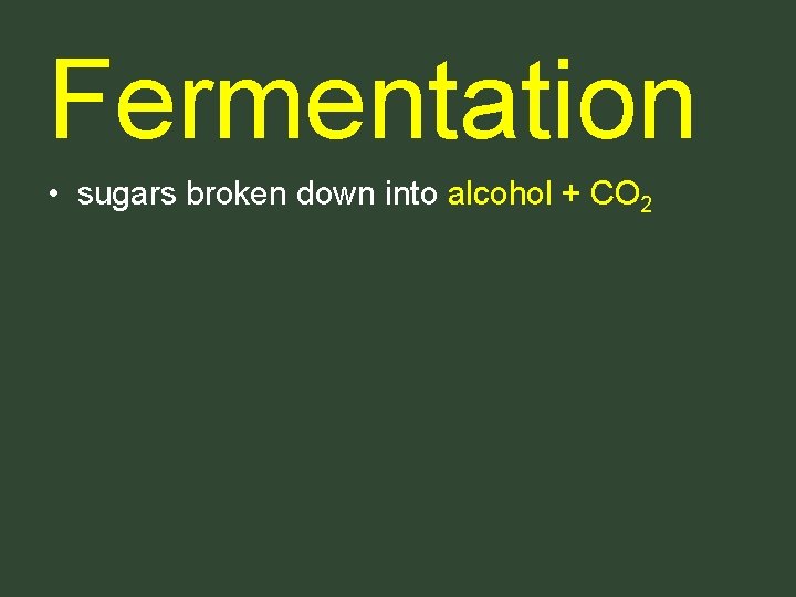 Fermentation • sugars broken down into alcohol + CO 2 Fermentation • sugars broken down into alcohol + CO 2