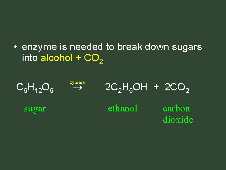 • enzyme is needed to break down sugars into alcohol + CO 2 • enzyme is needed to break down sugars into alcohol + CO 2