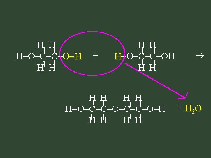 H H H O C C O H H H + H H H H H H O C C O H H H + H H H