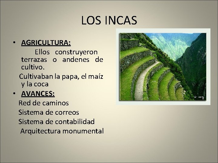 LOS INCAS • AGRICULTURA: Ellos construyeron terrazas o andenes de cultivo. Cultivaban la papa,