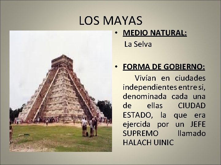 LOS MAYAS • MEDIO NATURAL: La Selva • FORMA DE GOBIERNO: Vivían en ciudades