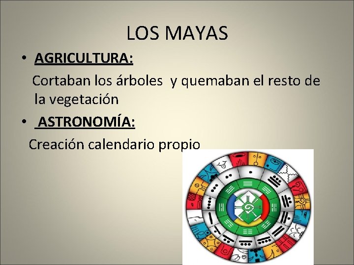 LOS MAYAS • AGRICULTURA: Cortaban los árboles y quemaban el resto de la vegetación