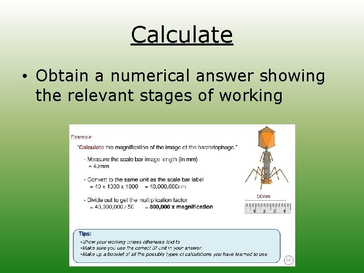 Calculate • Obtain a numerical answer showing the relevant stages of working 