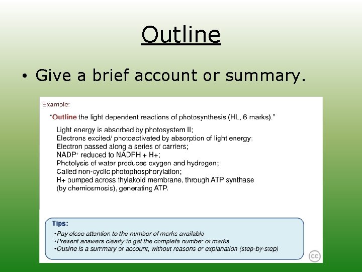 Outline • Give a brief account or summary. 
