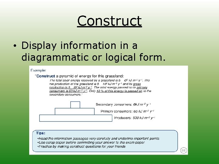Construct • Display information in a diagrammatic or logical form. 