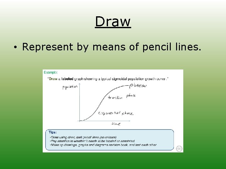 Draw • Represent by means of pencil lines. 