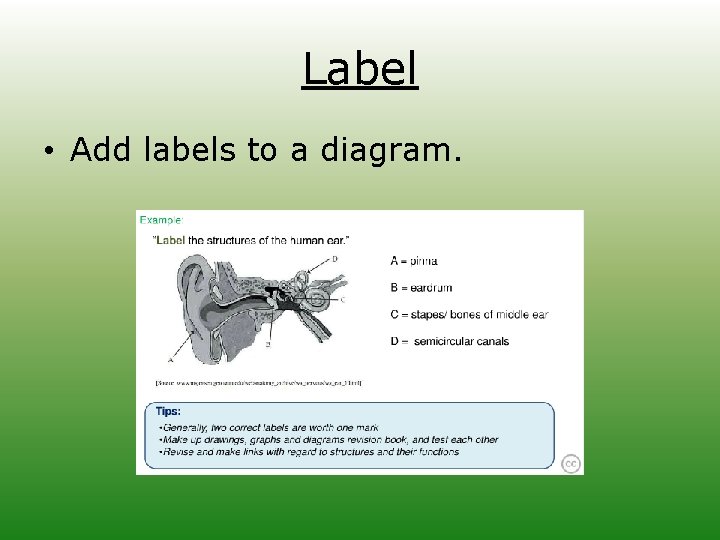 Label • Add labels to a diagram. 