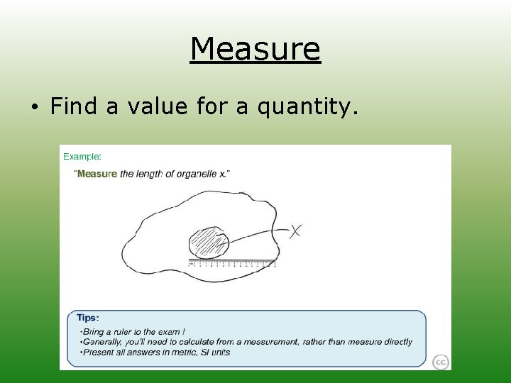 Measure • Find a value for a quantity. 