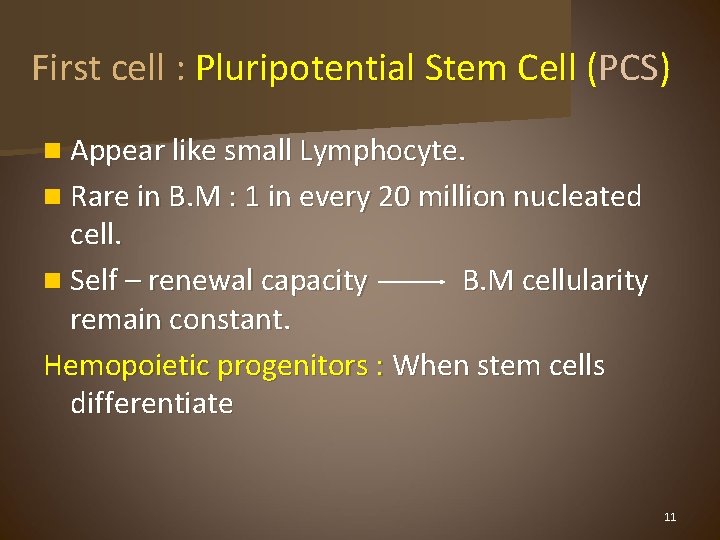 First cell : Pluripotential Stem Cell (PCS) n Appear like small Lymphocyte. n Rare