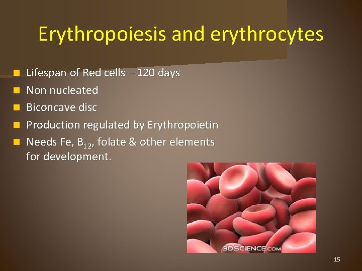 Erythropoiesis and erythrocytes n n n Lifespan of Red cells – 120 days Non