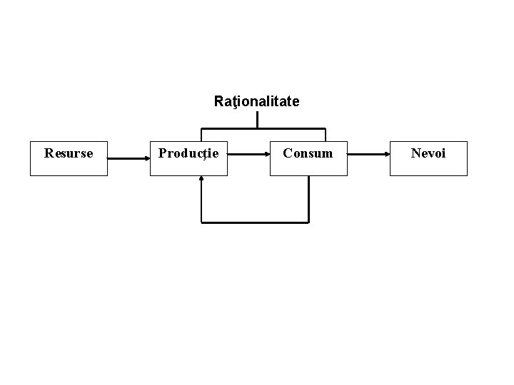Raţionalitate Resurse Producţie Consum Nevoi 