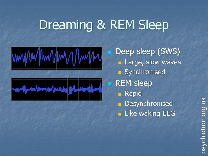 Dreaming & REM Sleep Deep sleep (SWS) n n n Large, slow waves Synchronised