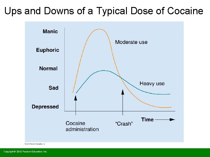 Ups and Downs of a Typical Dose of Cocaine Copyright © 2010 Pearson Education,