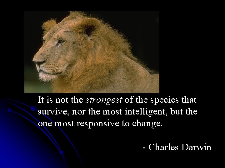 It is not the strongest of the species that survive, nor the most intelligent,