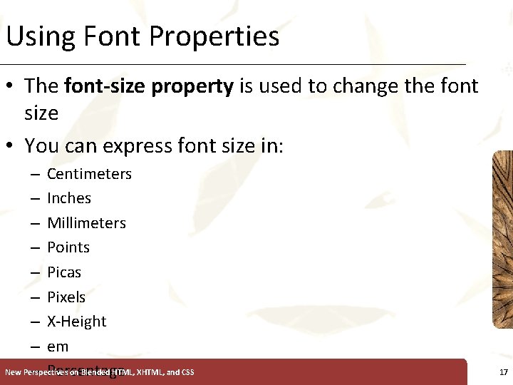 Using Font Properties XP • The font-size property is used to change the font