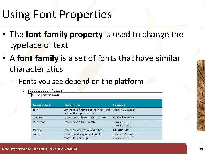 Using Font Properties XP • The font-family property is used to change the typeface