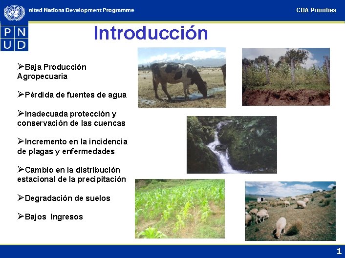 CBA Priorities Introducción ØBaja Producción Agropecuaria ØPérdida de fuentes de agua ØInadecuada protección y