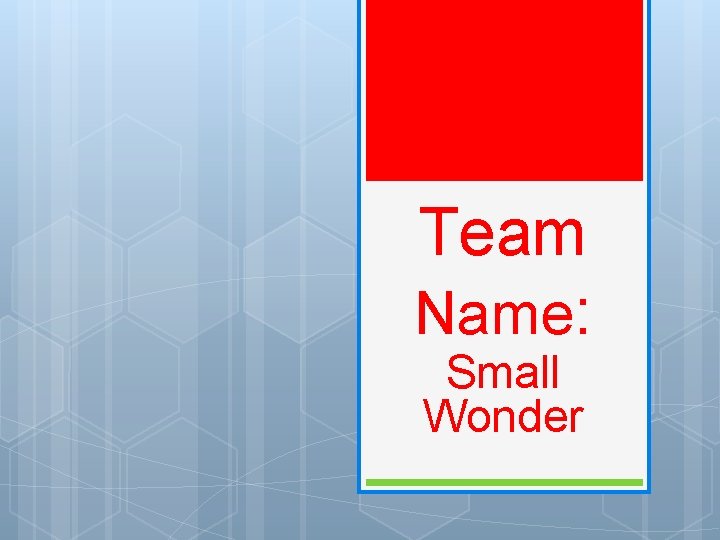 Team Name: Small Wonder 