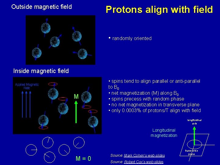 Outside magnetic field Protons align with field • randomly oriented Inside magnetic field M
