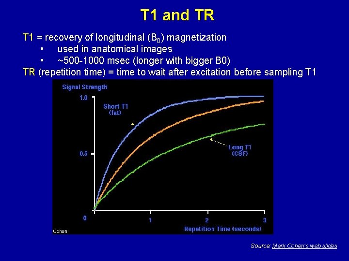 T 1 and TR T 1 = recovery of longitudinal (B 0) magnetization •