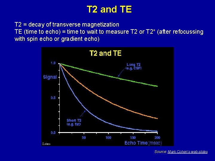 T 2 and TE T 2 = decay of transverse magnetization TE (time to