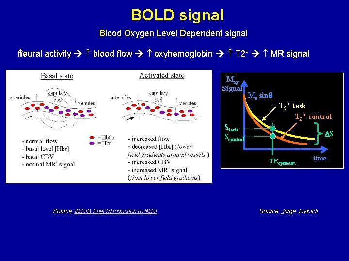 BOLD signal Blood Oxygen Level Dependent signal neural activity blood flow oxyhemoglobin T 2*