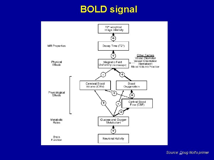 BOLD signal Source: Doug Noll’s primer 