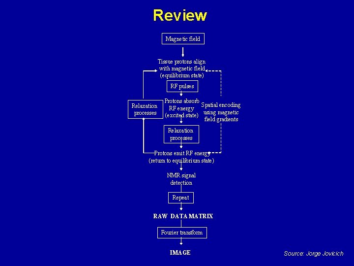 Review Magnetic field Tissue protons align with magnetic field (equilibrium state) RF pulses Relaxation