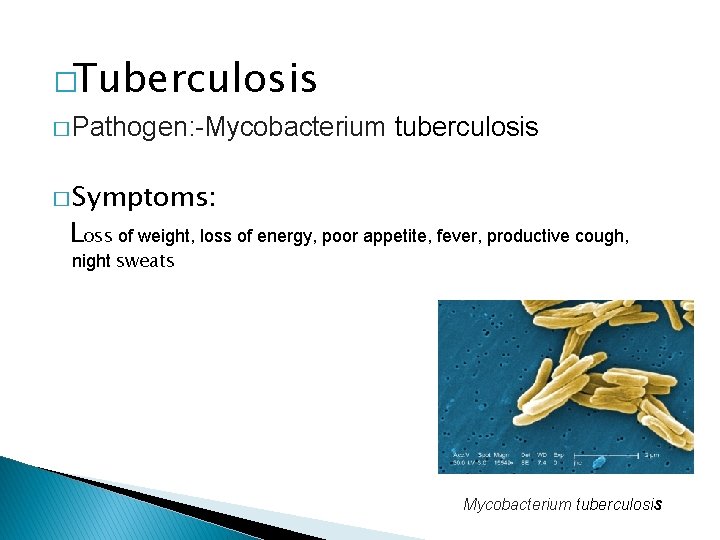 �Tuberculosis � Pathogen: -Mycobacterium tuberculosis � Symptoms: Loss of weight, loss of energy, poor