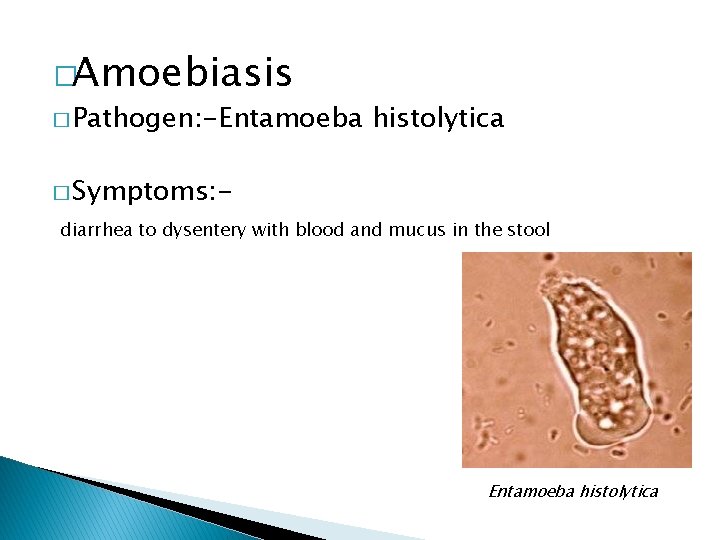 �Amoebiasis � Pathogen: -Entamoeba histolytica � Symptoms: diarrhea to dysentery with blood and mucus