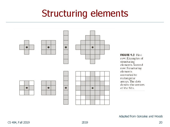 Structuring elements Adapted from Gonzales and Woods CS 484, Fall 2019 20 Structuring elements Adapted from Gonzales and Woods CS 484, Fall 2019 20