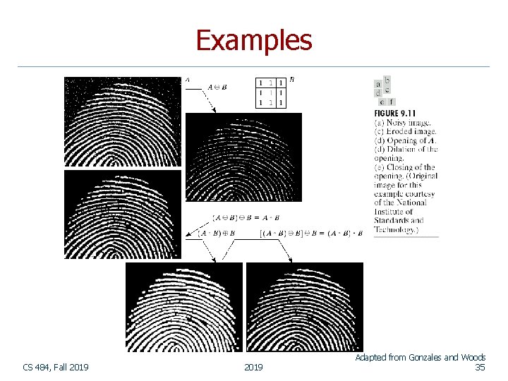 Examples CS 484, Fall 2019 Adapted from Gonzales and Woods 35 Examples CS 484, Fall 2019 Adapted from Gonzales and Woods 35