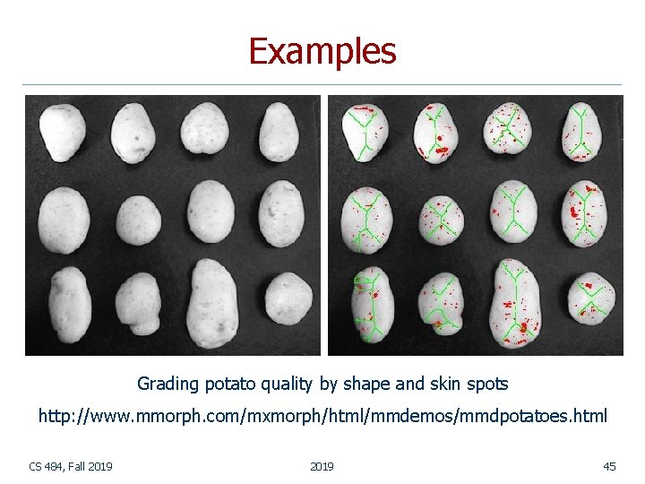 Examples Grading potato quality by shape and skin spots http: //www. mmorph. com/mxmorph/html/mmdemos/mmdpotatoes. html Examples Grading potato quality by shape and skin spots http: //www. mmorph. com/mxmorph/html/mmdemos/mmdpotatoes. html