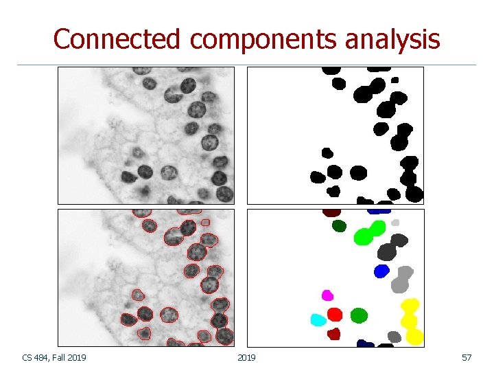 Connected components analysis CS 484, Fall 2019 57 Connected components analysis CS 484, Fall 2019 57
