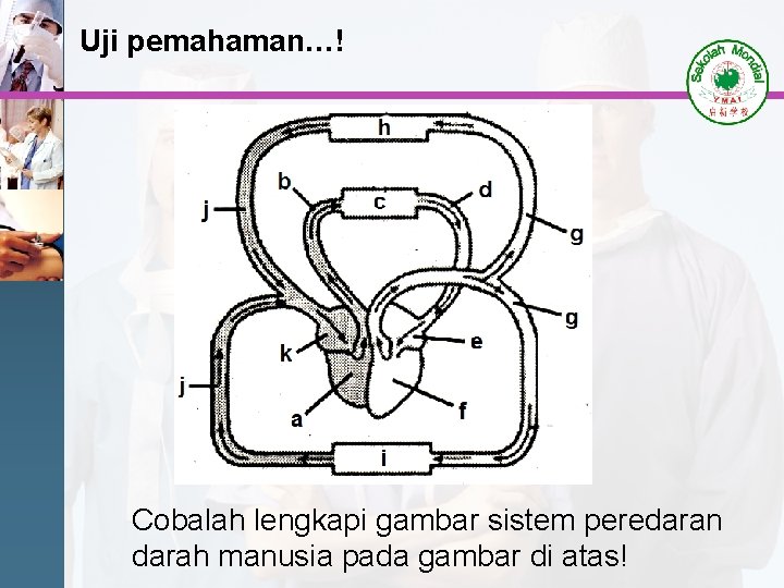 Uji pemahaman…! Cobalah lengkapi gambar sistem peredaran darah manusia pada gambar di atas! 