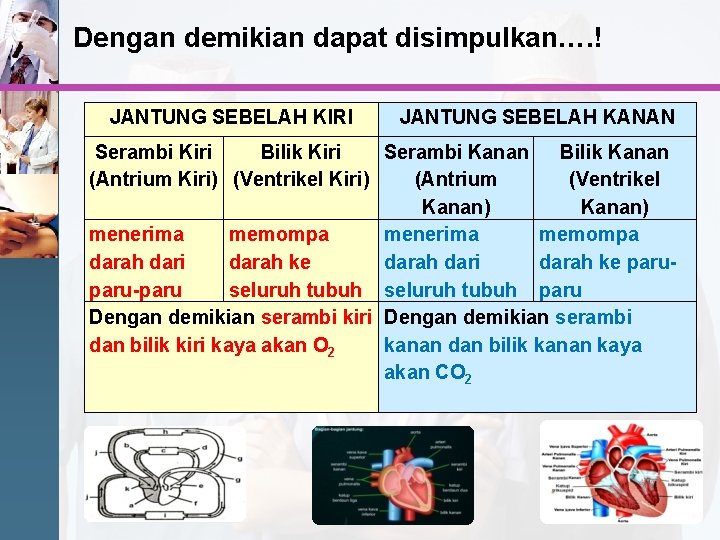 Dengan demikian dapat disimpulkan…. ! JANTUNG SEBELAH KIRI JANTUNG SEBELAH KANAN Serambi Kiri Bilik